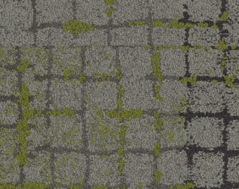 [300111132_4] Moss In Stone - 105565 Slate Edge